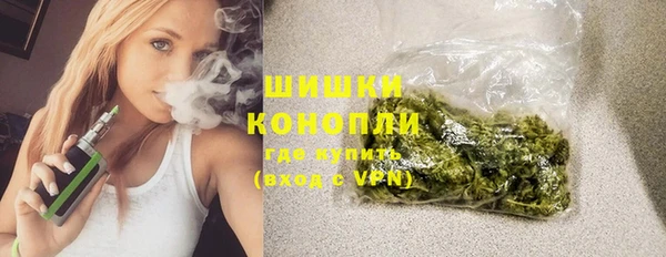 прущие грибы Бикин